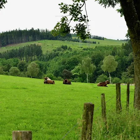 Gruppenferienhaus Im Hochsauerland * Elpe