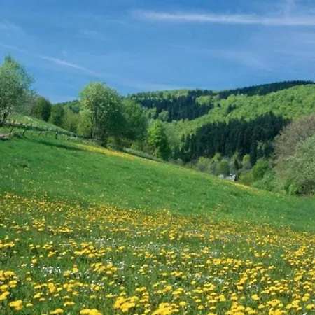 Gruppenferienhaus Im Hochsauerland Elpe