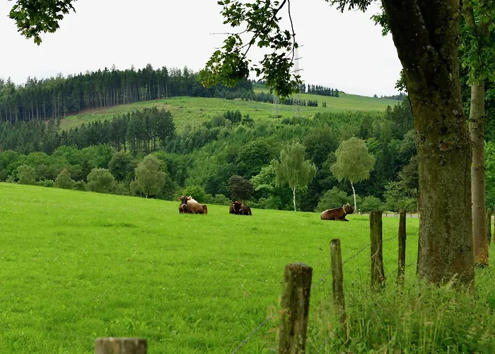 Gruppenferienhaus Im Hochsauerland * Elpe