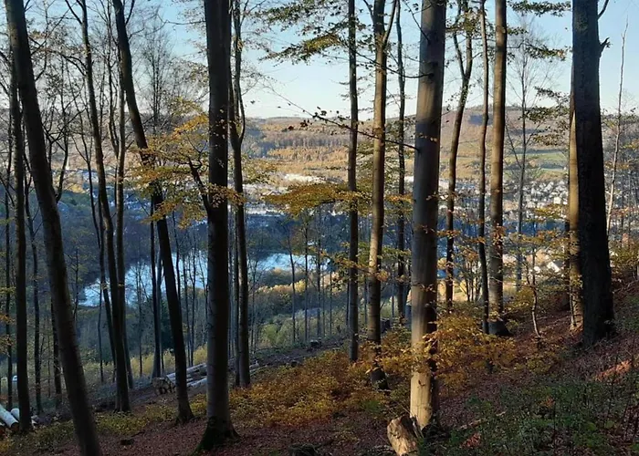 Gruppenferienhaus Im Hochsauerland 度假居 Elpe