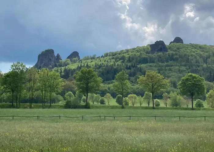 度假居 Gruppenferienhaus Im Hochsauerland *