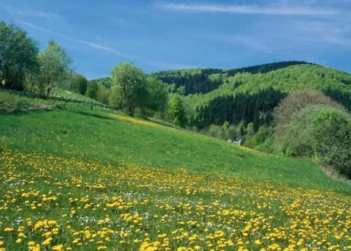 Gruppenferienhaus Im Hochsauerland Elpe