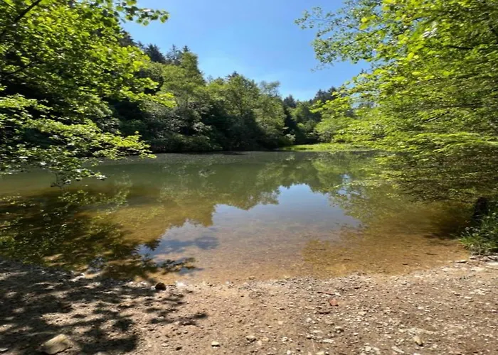 Gruppenferienhaus Im Hochsauerland * Elpe